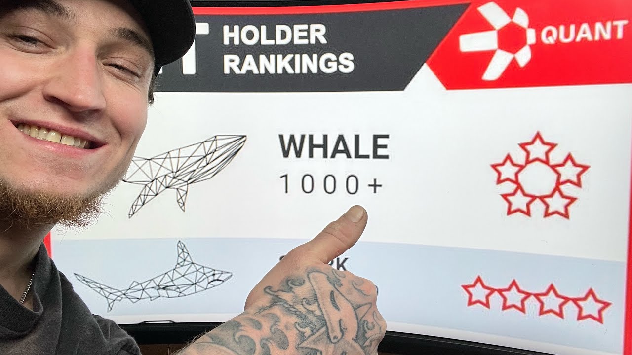 QNT RICH LIST! I Reached My Goal Of 1000 Tokens! (I&rsquo;m now a QNT Whale!?) ISO 20022