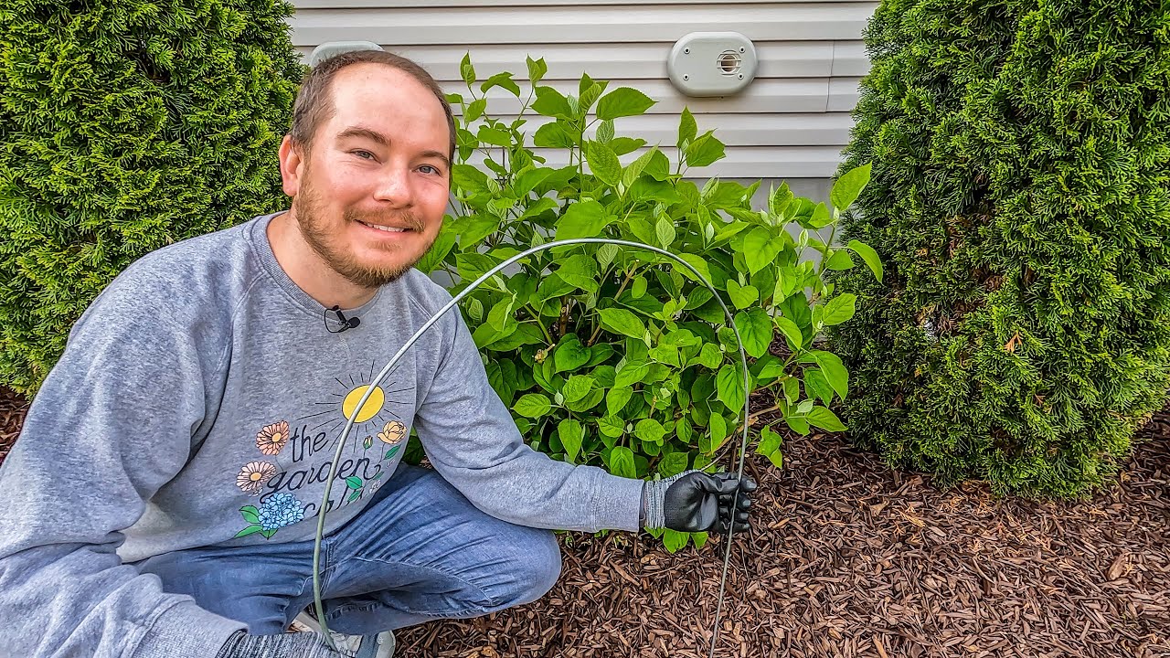 DIY Cheap and Easy Plant Supports | The Southerner's Northern Garden