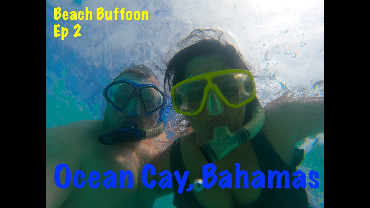 Why You MUST Snorkel in Ocean Cay, Bahamas (What Species is This?)