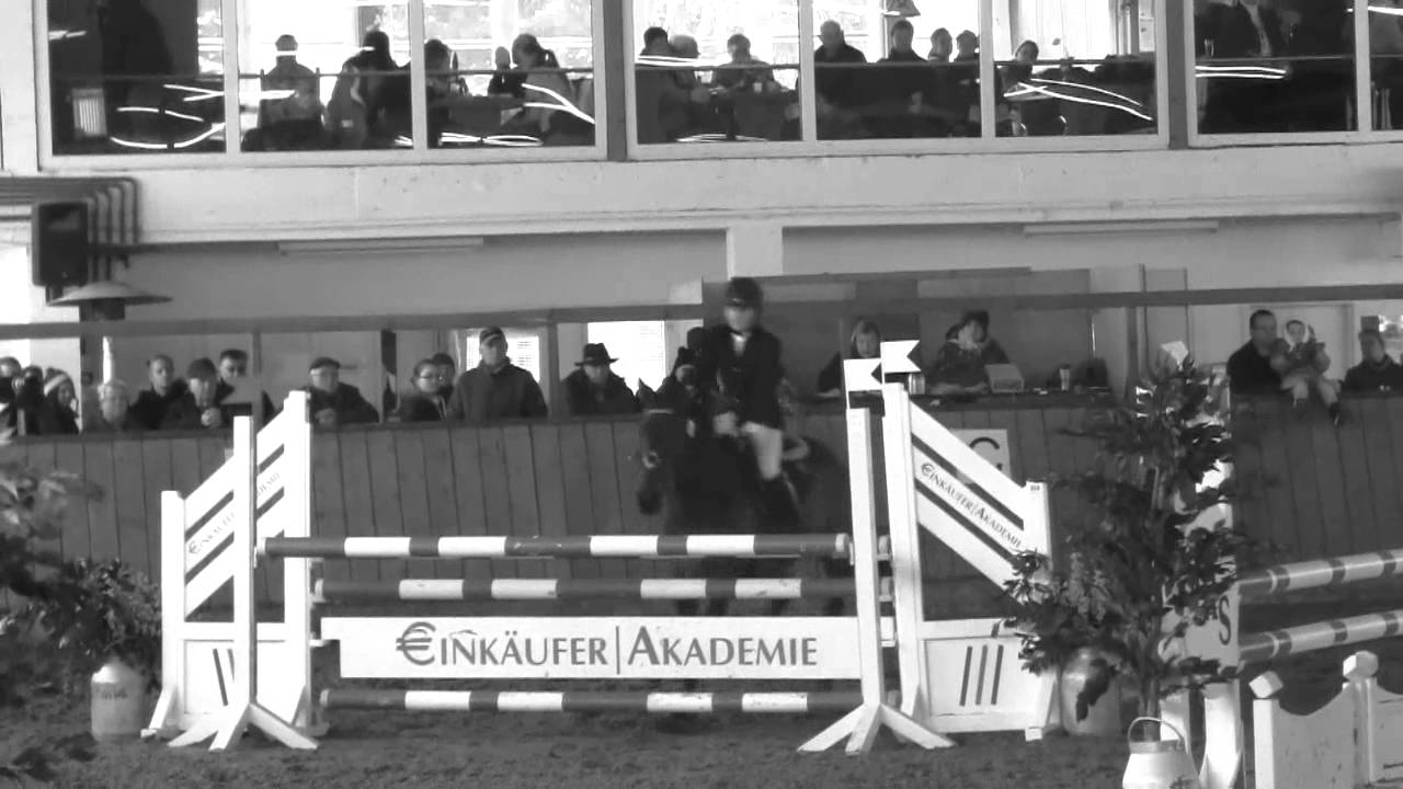 Rest in Peace!!! Desperado &hearts;