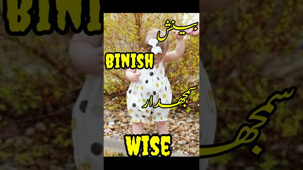 Binish (بینش) name meaning / muslim girl name # yt shorts # 2023