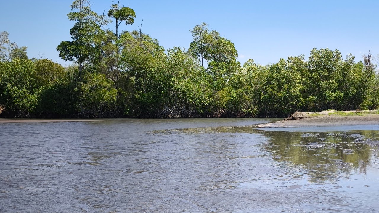¡GUATE VIDA OFICIAL está emitiendo en directo! PESCANDO