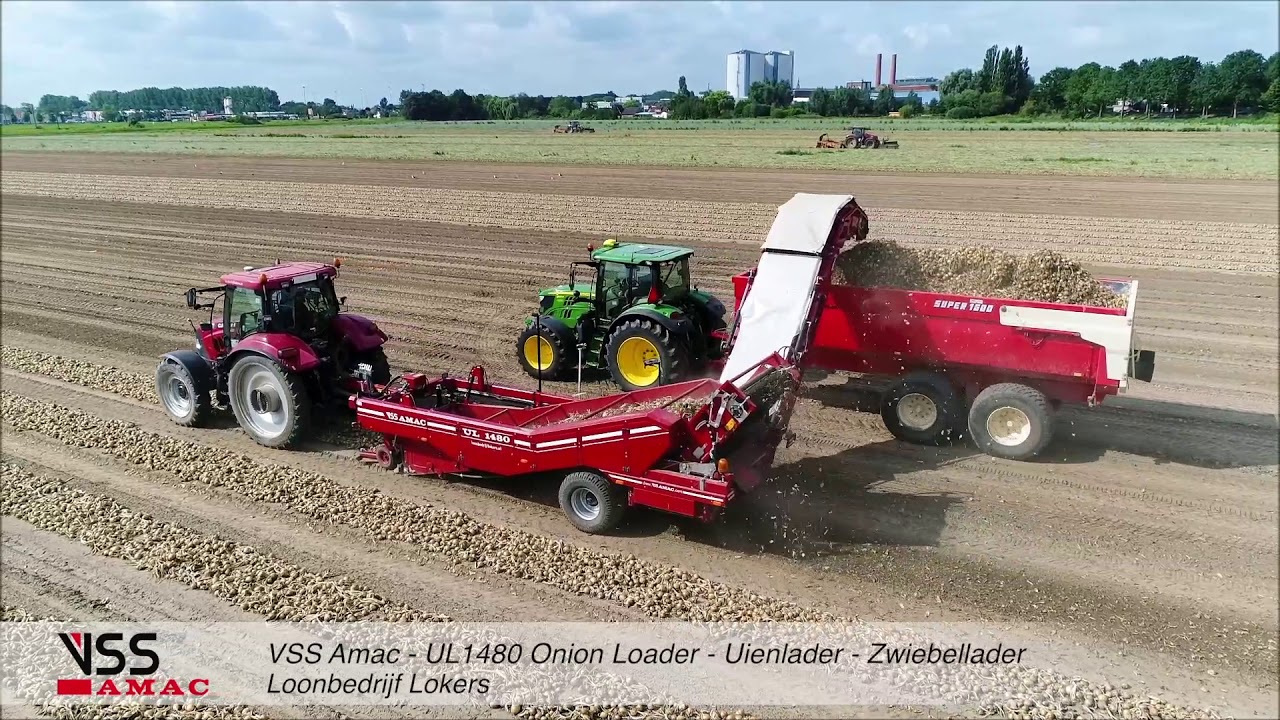 Uien opladen met een VSS Amac UL1480 | loading onions with a VSS AMAC onionloader 1480