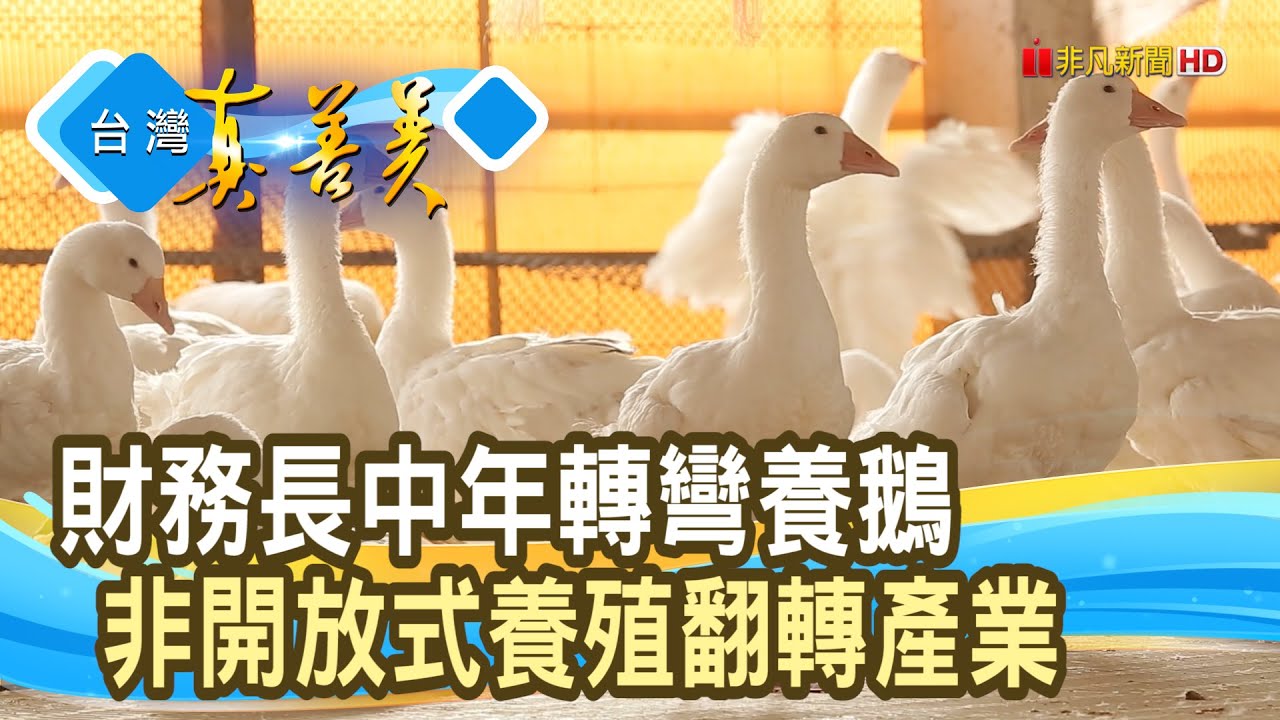 財務長的返鄉“養鵝記”│鵝舖子│【台灣真善美】2022.12.25