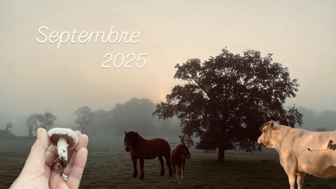 Septembre |2025|