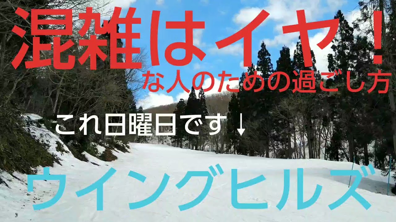 【スキー場巡り】休日でも快適にウイングヒルズを楽しむ！