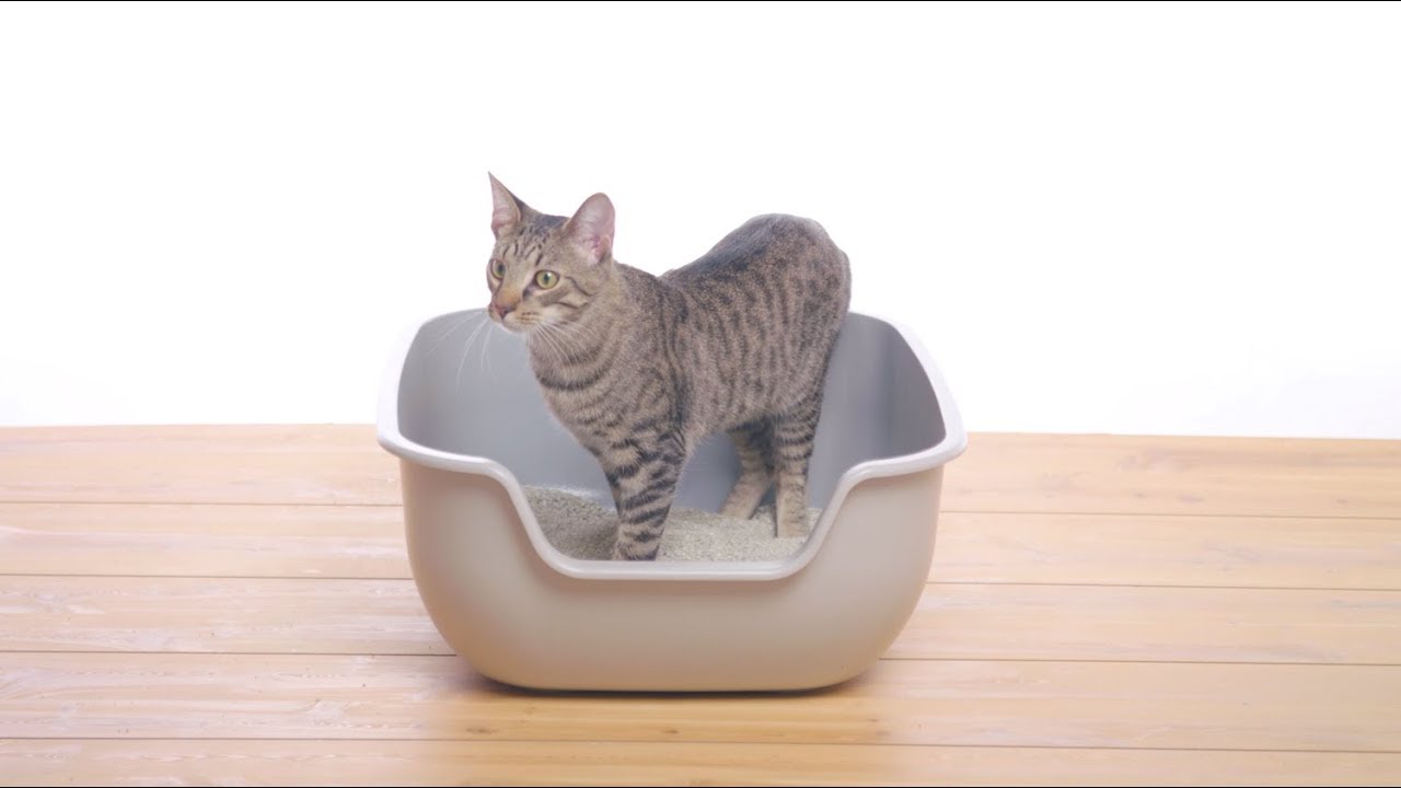 PetFusion BetterBox Non-Stick Litter Box