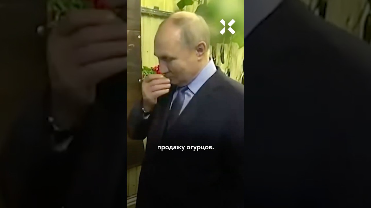 Огурцы в России: до 1000 рублей за 1 кг