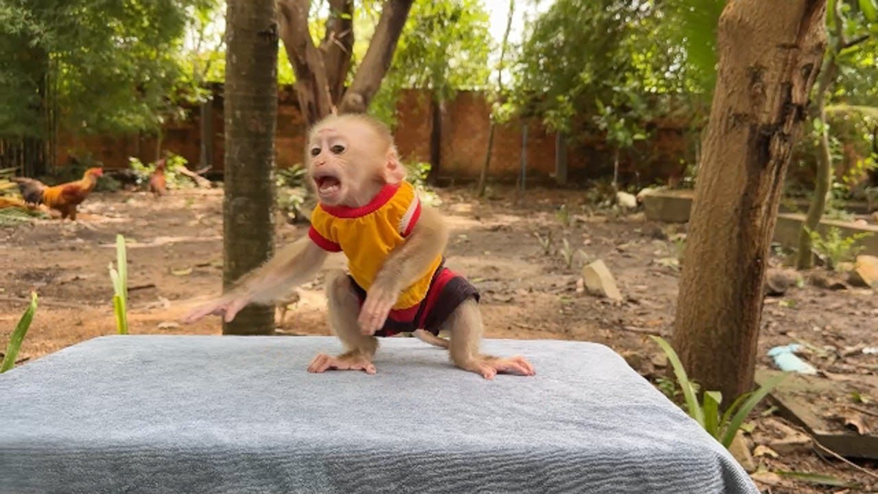 Max Is Strange Gesture To See Mom Bring Him Yummy Fruits