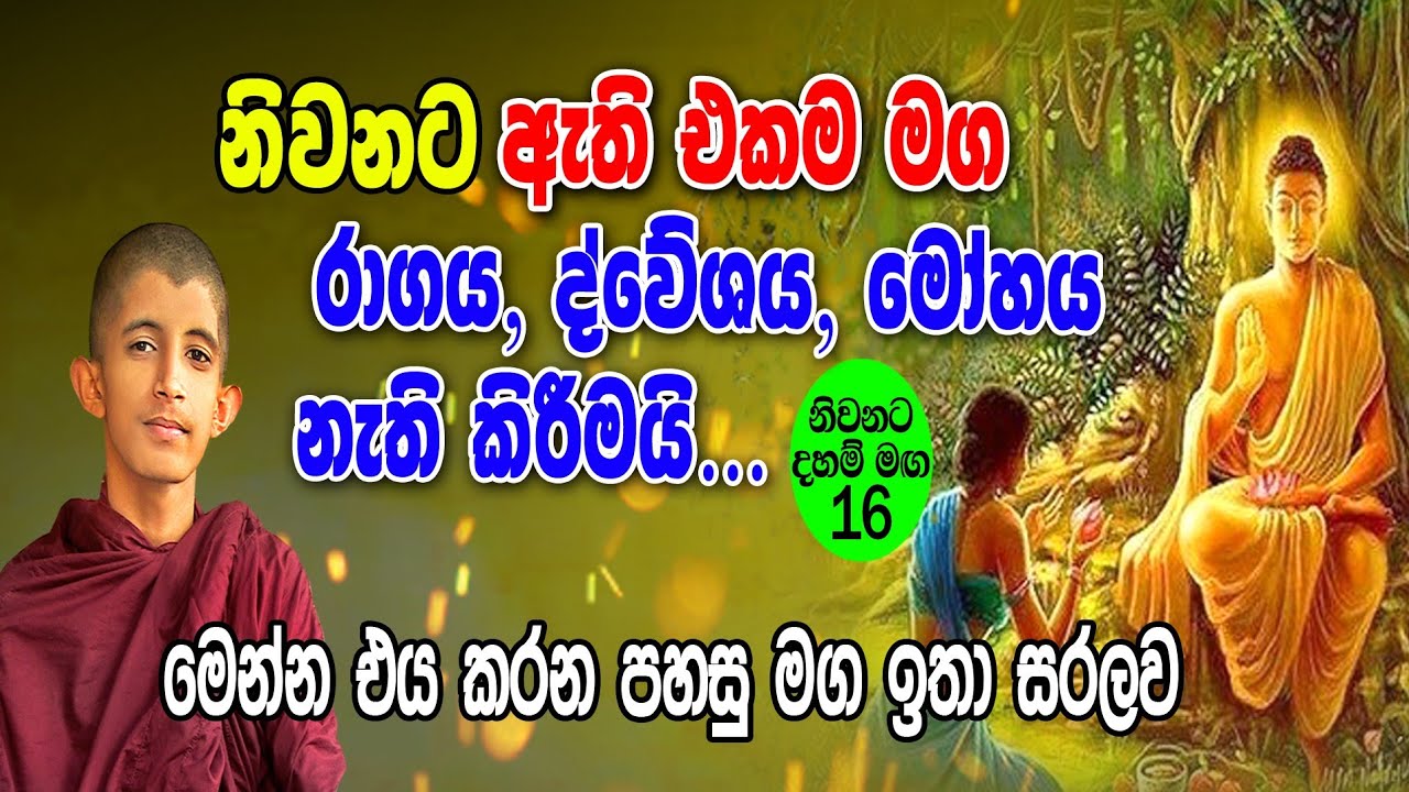 රාග, ද්වේශ, මෝහ නැති කර ගැනීමට ඇති පහසුම මග ඉතා සරලවම (Part 16) || Helaye Api || Ariya Uththamayan