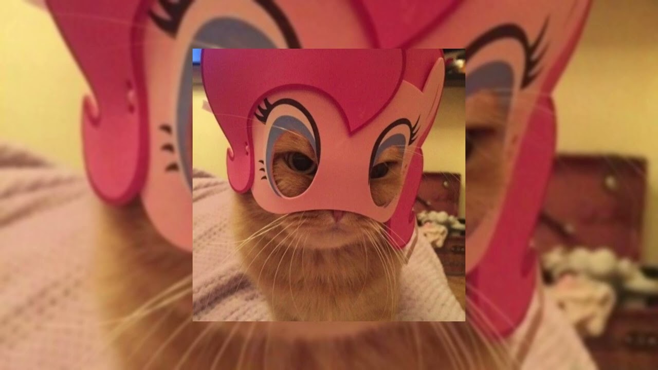 sped up tiktok audios that never miss