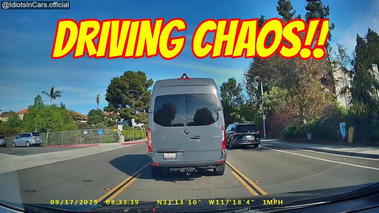 Idiots In Cars Part #250 #idiotsincars #baddriver