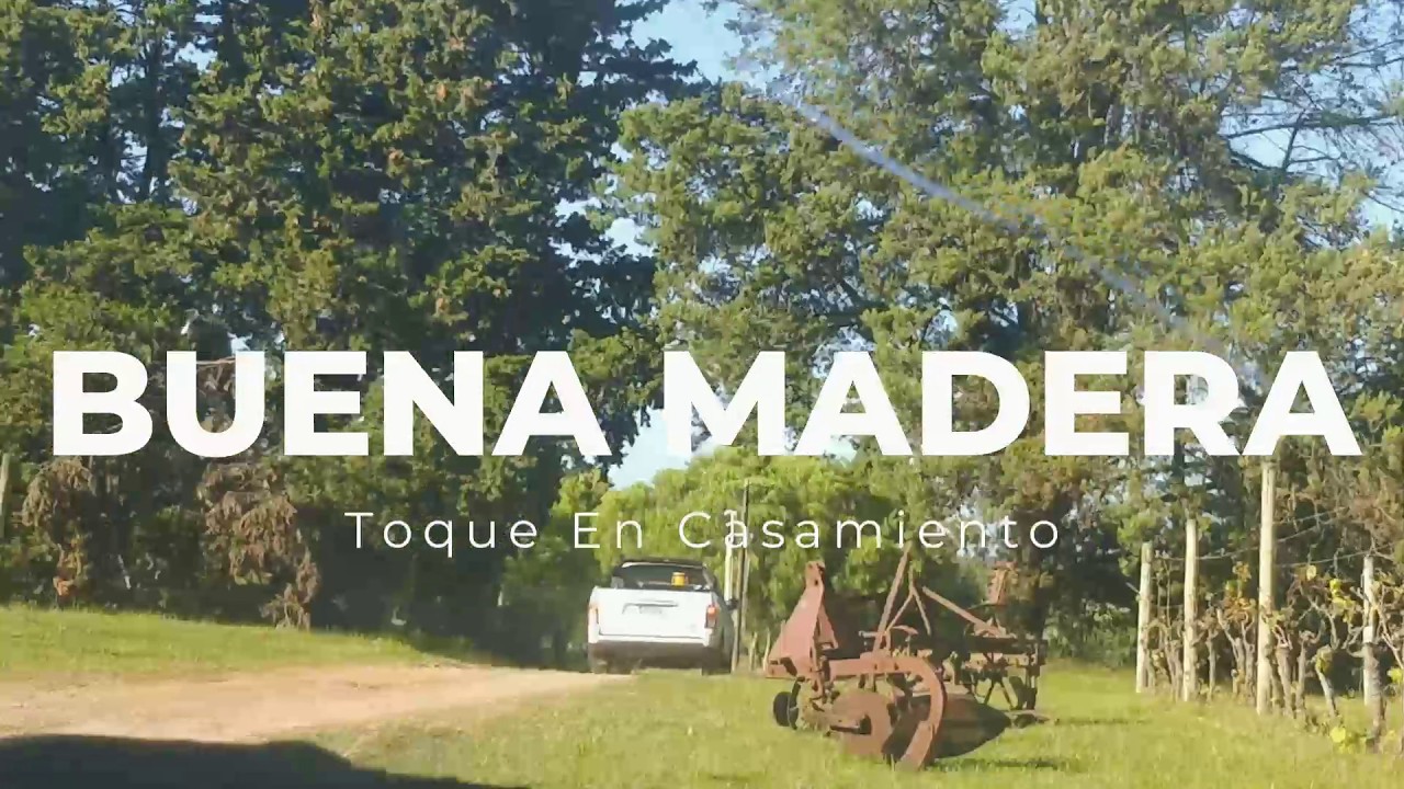 Buena Madera Toca En Un Casamiento De Rodanteros