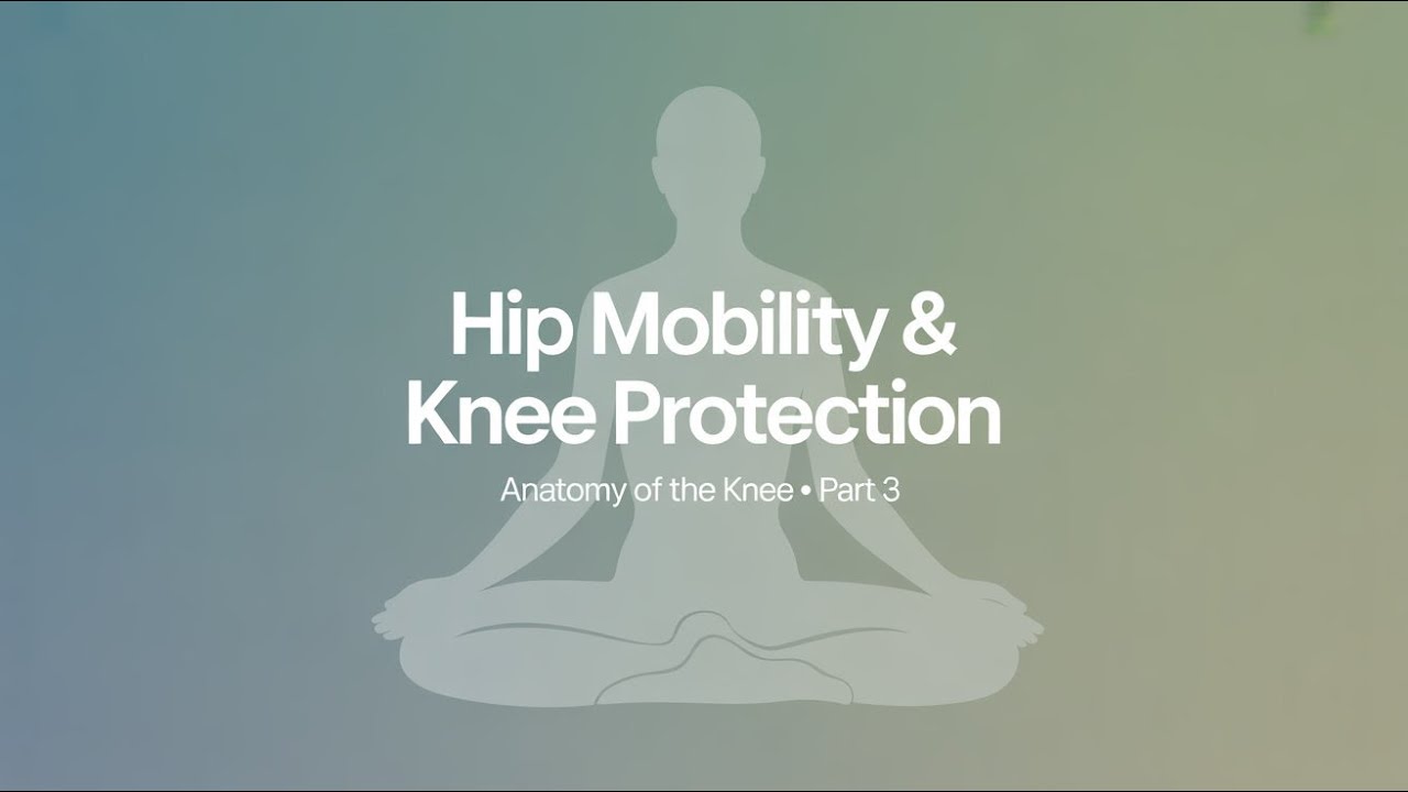 Anatomy of the Knee — Part 3 | Hip Mobility & Knee Protection