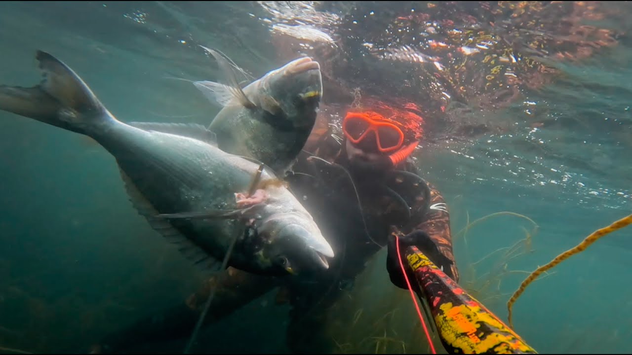 Doublé Dorade Royale à l'agachon - Chasse sous marine
