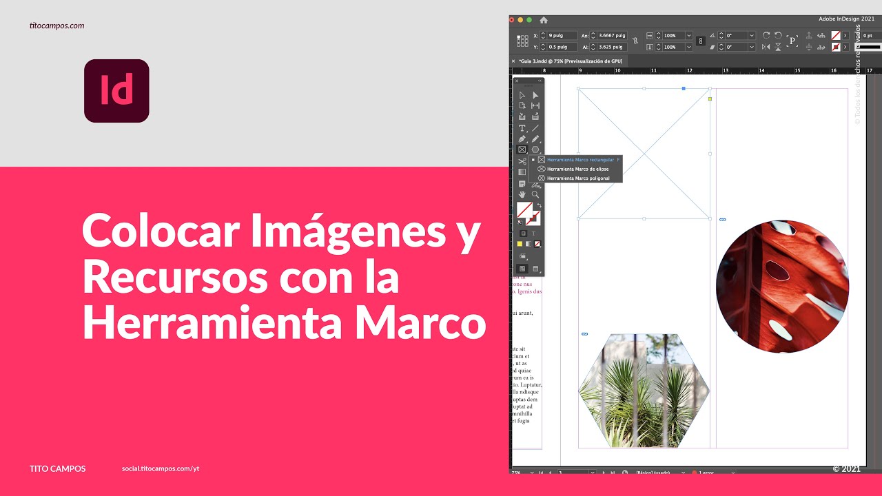 Colocar Imágenes y Recursos con la Herramienta Marco en Adobe InDesign