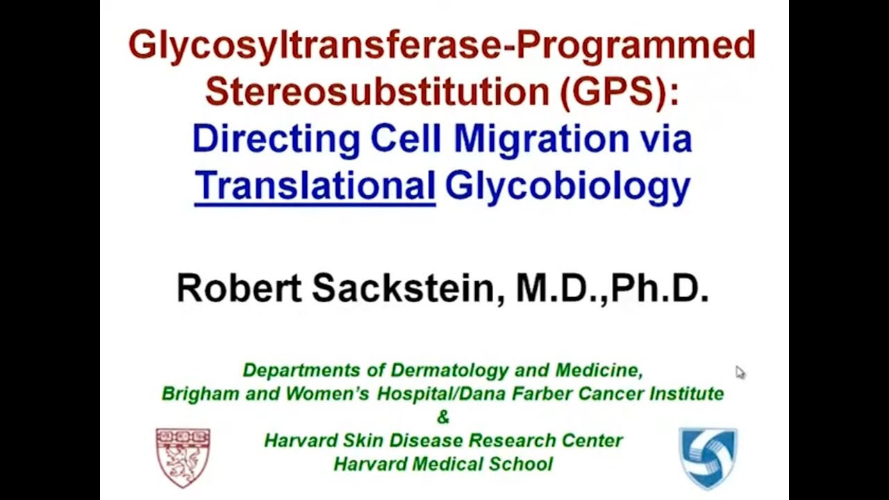Robert Sackstein, MD,PhD -- GPS for Cell Therapeutics: Steering Cells to Cure - Part 3