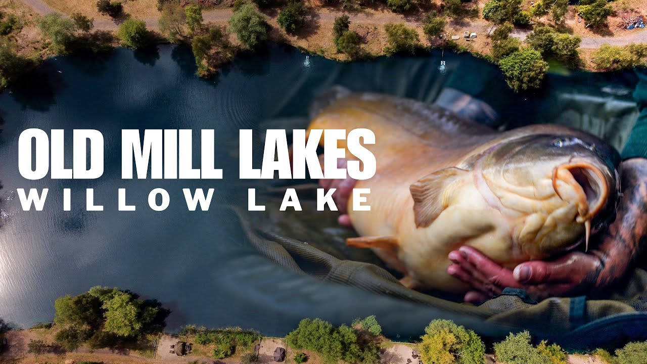Old Mill Lakes | Willow Lake | Gemini Carp League | Episode 3