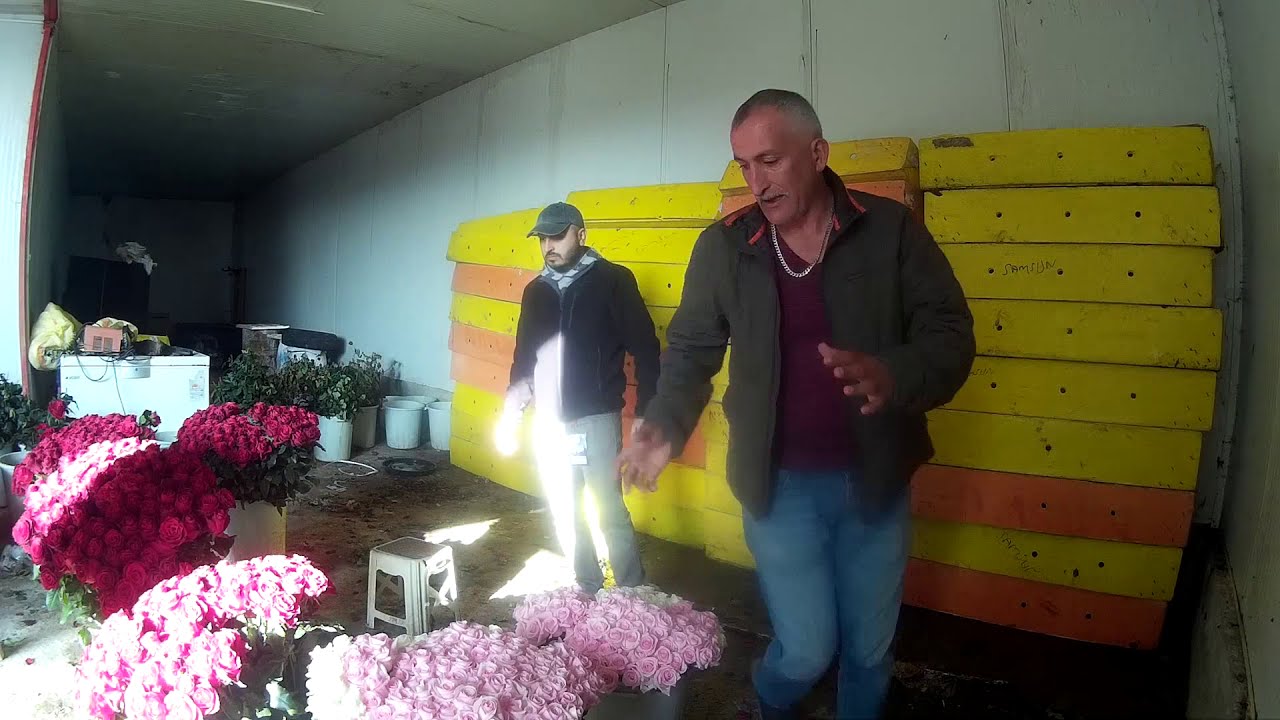 Bir fotoğraf hikayesi