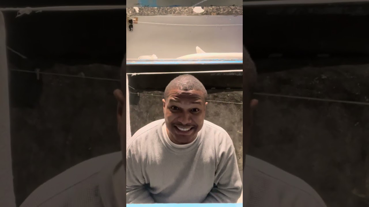 Jhood (storytime)Savage blu 69ec gets done bad