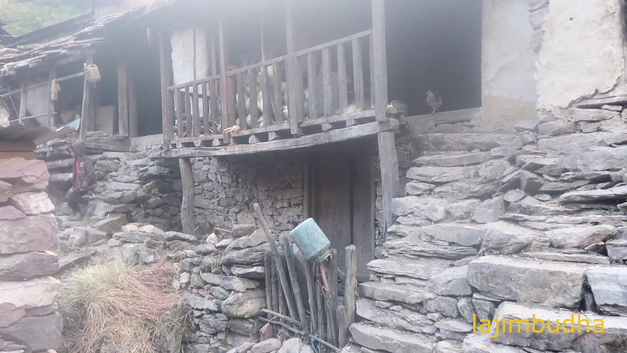 being american people village in Nepal 🇳🇵🇳🇵 || lajimbudha ||