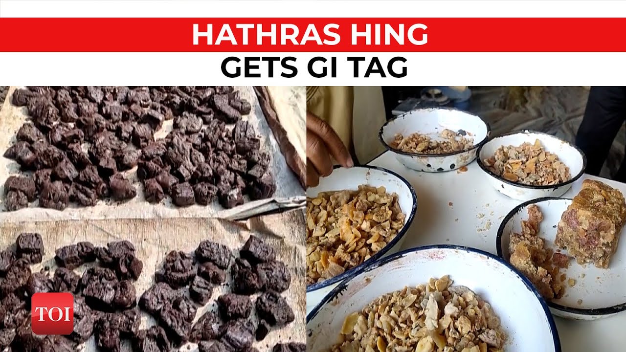 Hathras Hing gets coveted GI tag | Uttar Pradesh now has 45 GI goods