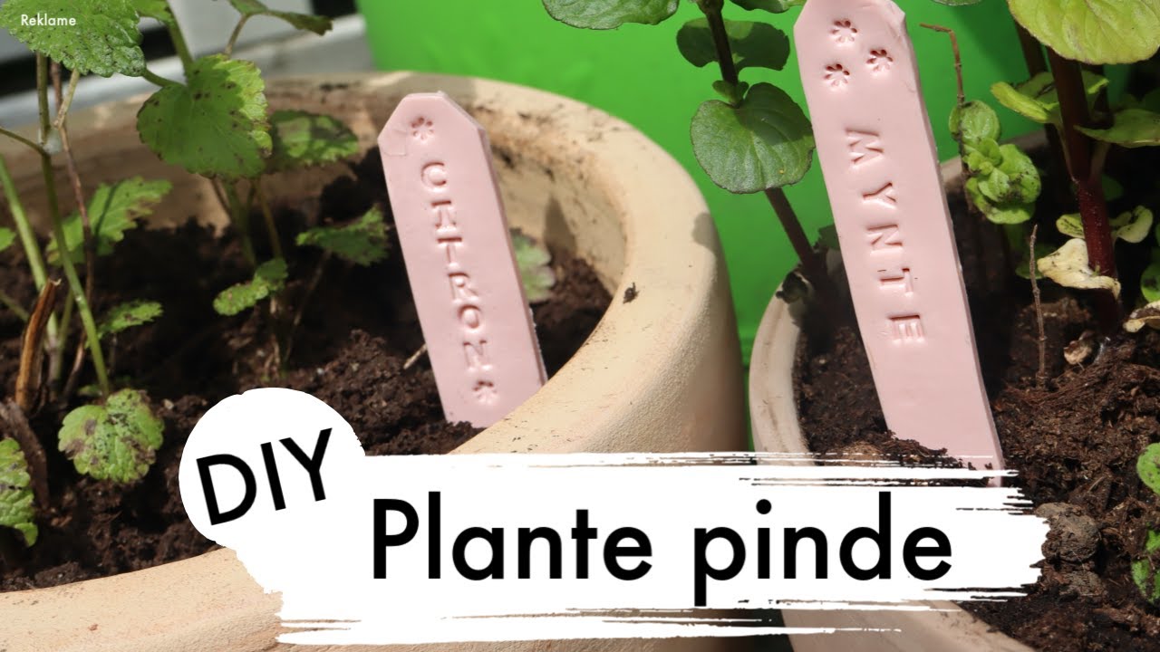 🌸DIY plante pinde i fimo ler🌸 // Bedste gave ide!