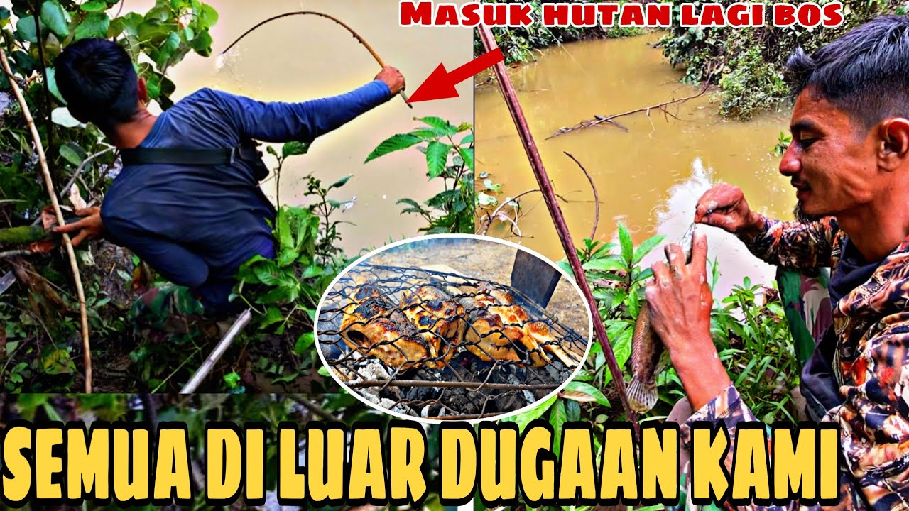 2 HARI 2 MALAM BERPETUALANG❗MENCARI IKAN DI HUTAN HULU SUNGAI
