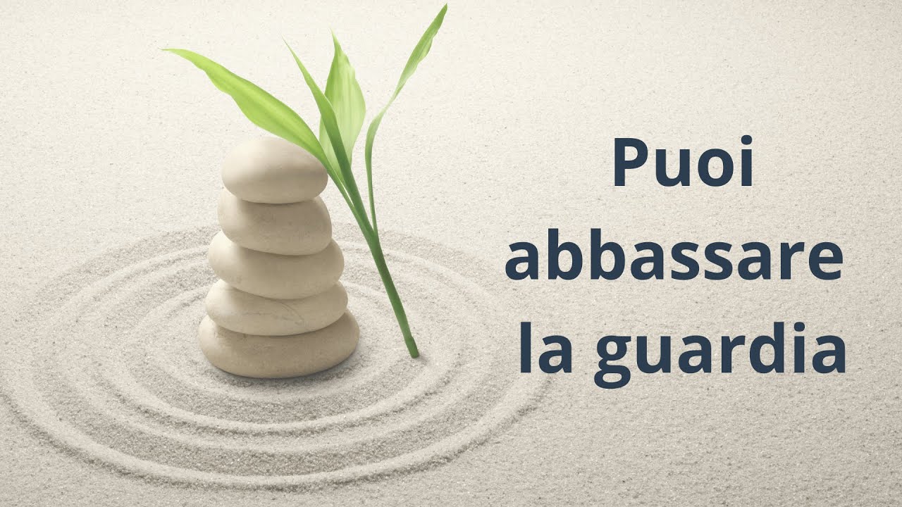 Ringraziare l’amigdala: meditazione per calmare l’ansia alla radice