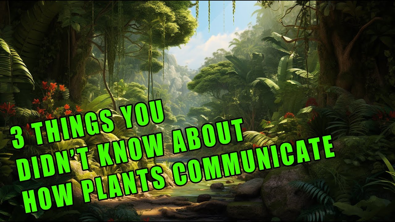 How Plants Send Messages You Didn't Know About