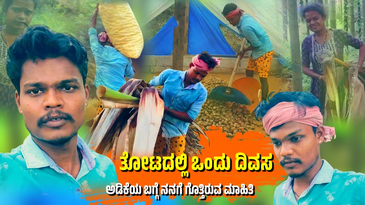 ನಮ್ಮ ತೋಟದಲ್ಲಿ ಒಂದು ದಿವಸ / ನನಗೆ ಗೊತ್ತಿರುವ ಮಾಹಿತಿ 😊