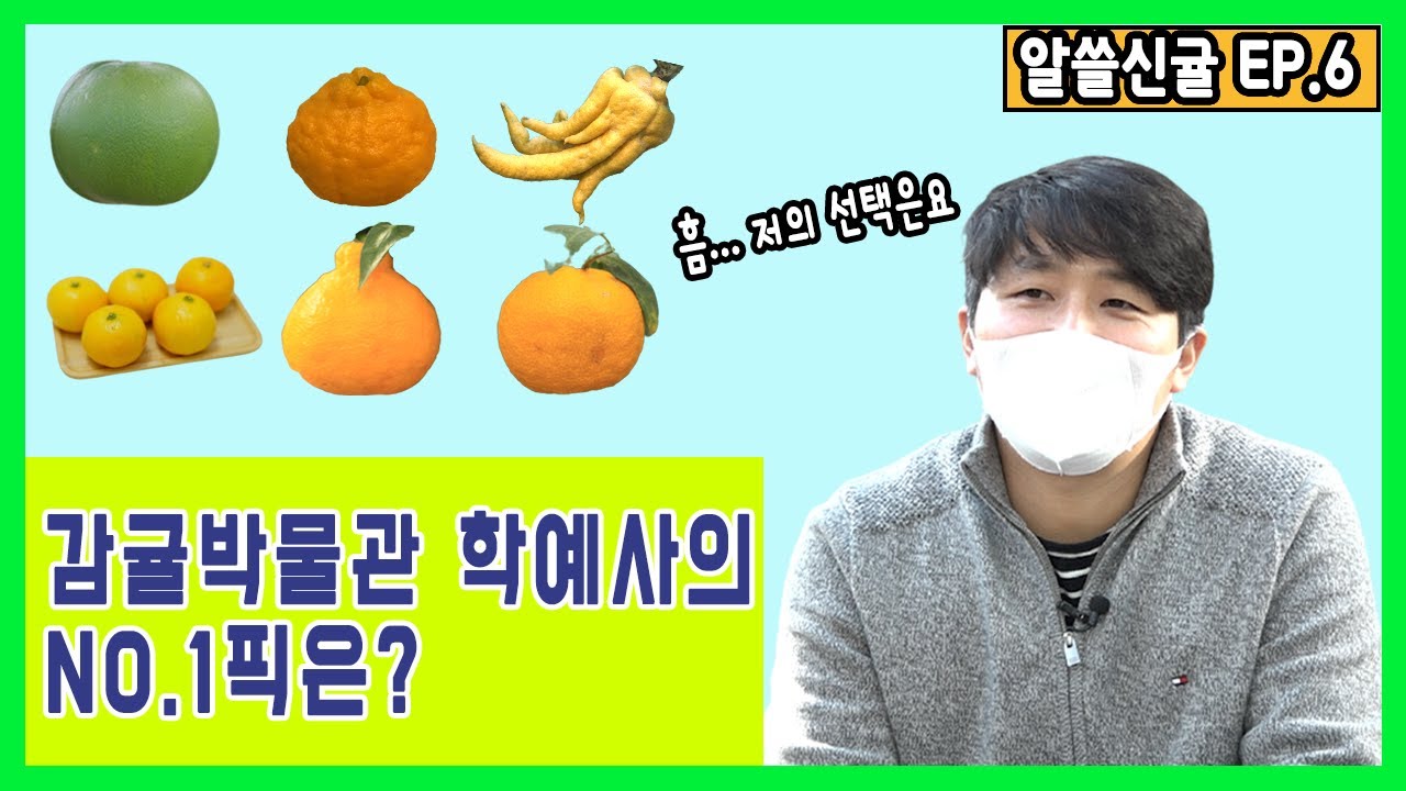 [알쓸신귤] 감귤전문가는 어떤 귤을 좋아할까?