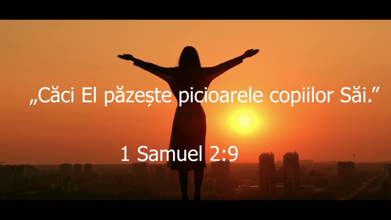 Pribeag Azi Prin Lumea De Chin Si Dureri (Cover by SperanataX Studio)