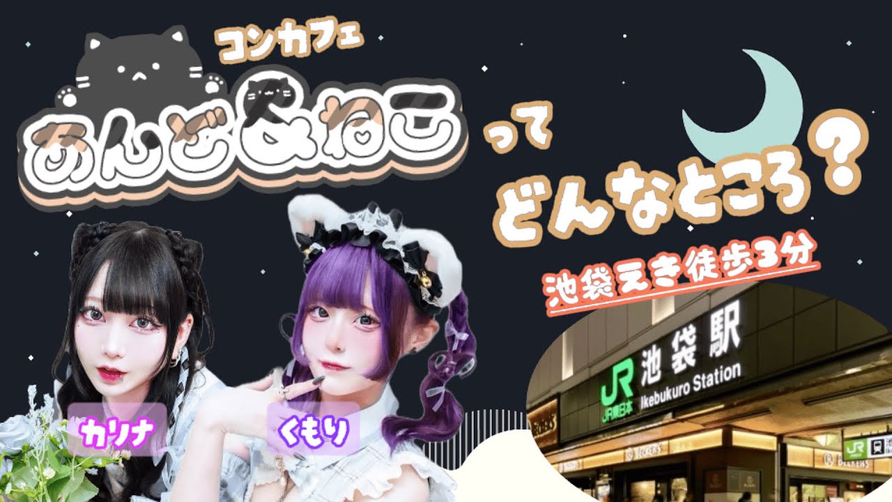 【コンカフェ紹介】あんどねこって、どんなところ？ キャストが解説！#コンカフェ #池袋 #ねこコンセプト