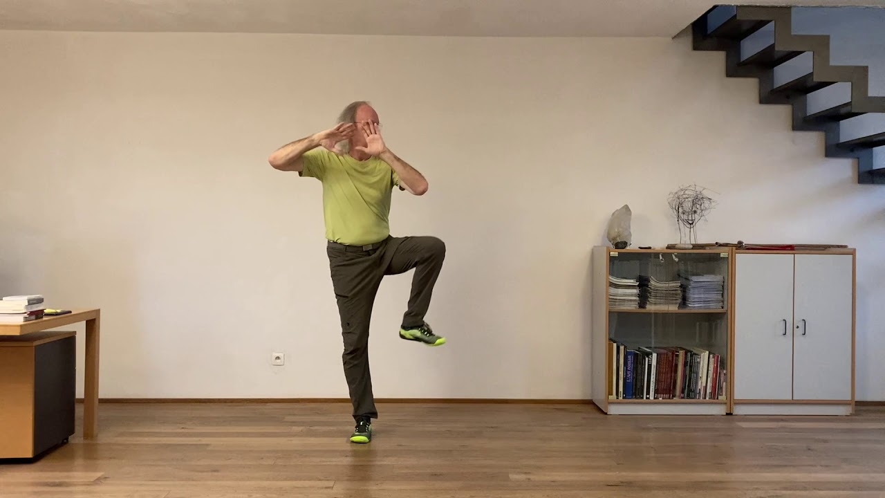 Pratique des 10 Tai Chi Yang