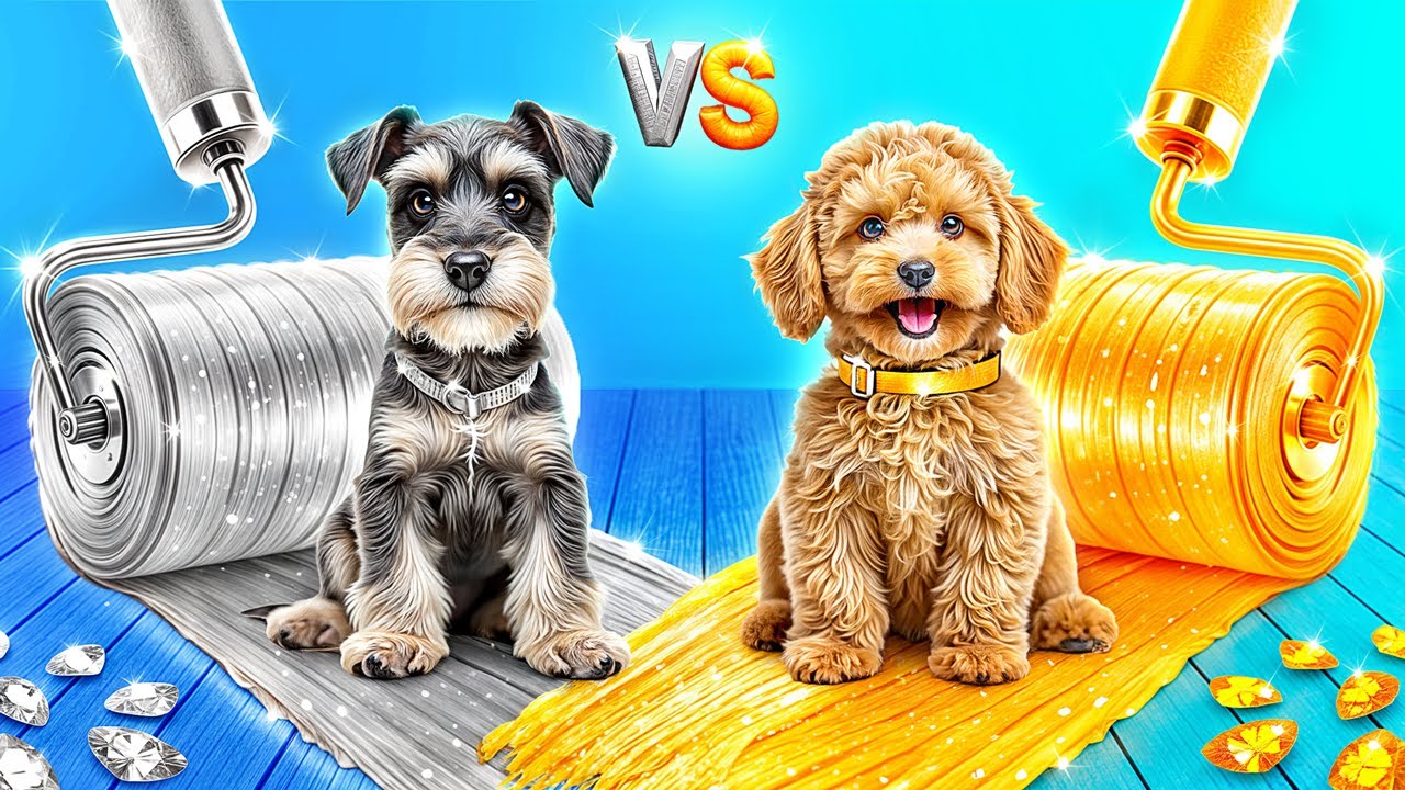 Rich Dog vs Poor Dog!