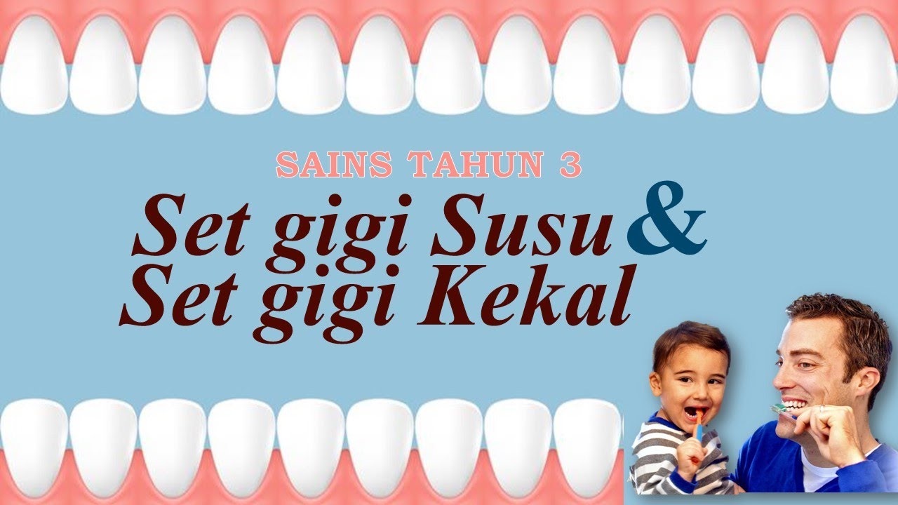 Unit 3 - Set Gigi Susu & Set Gigi Kekal (Sains Tahun 3)