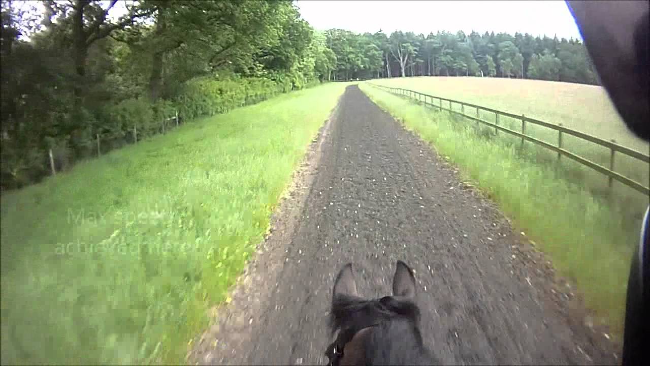How to fall of a Racehorse