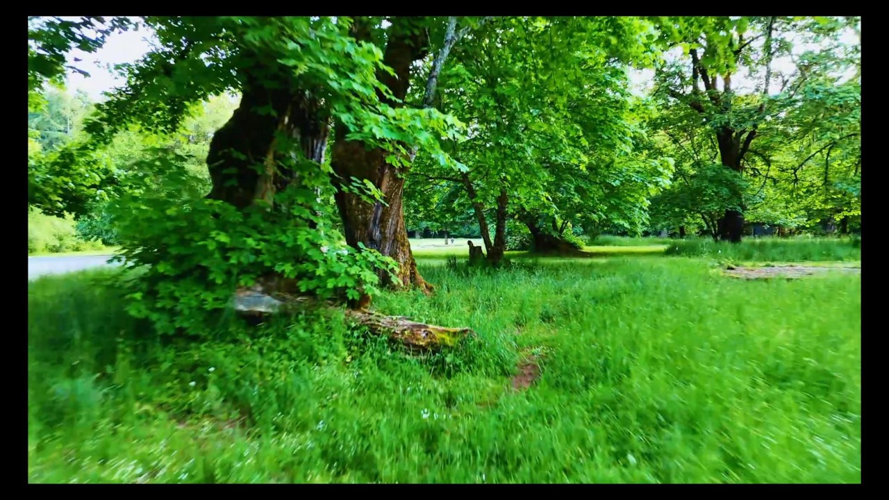 Drone pull back video from field to sky