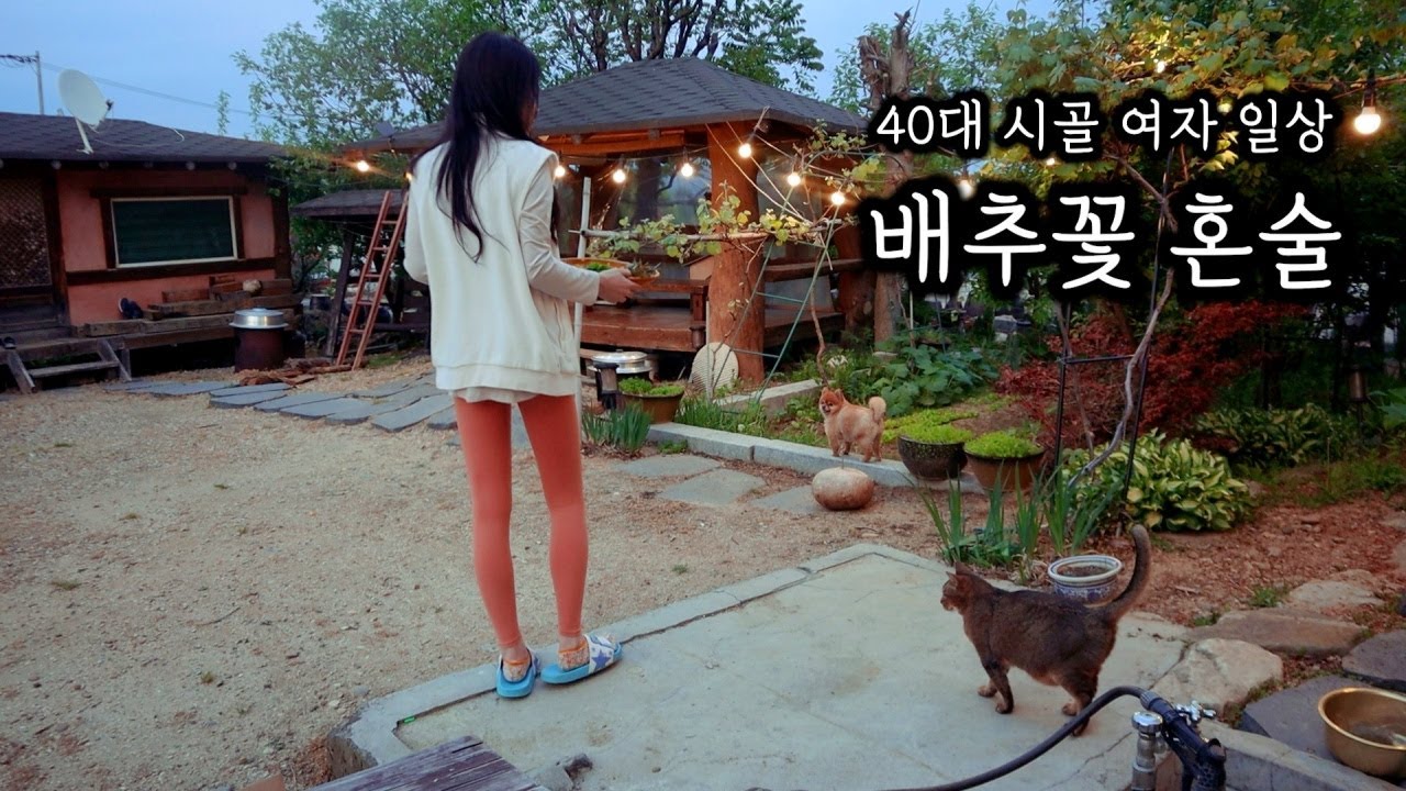 40대 시골 여자ㅣ배추꽃 튀겨 막걸리 혼술( ft. 방풍전, 가죽전 )ㅣ부추 뽑아 재첩국,취나물, 방풍, 머위 뽑아 아부지 반찬~