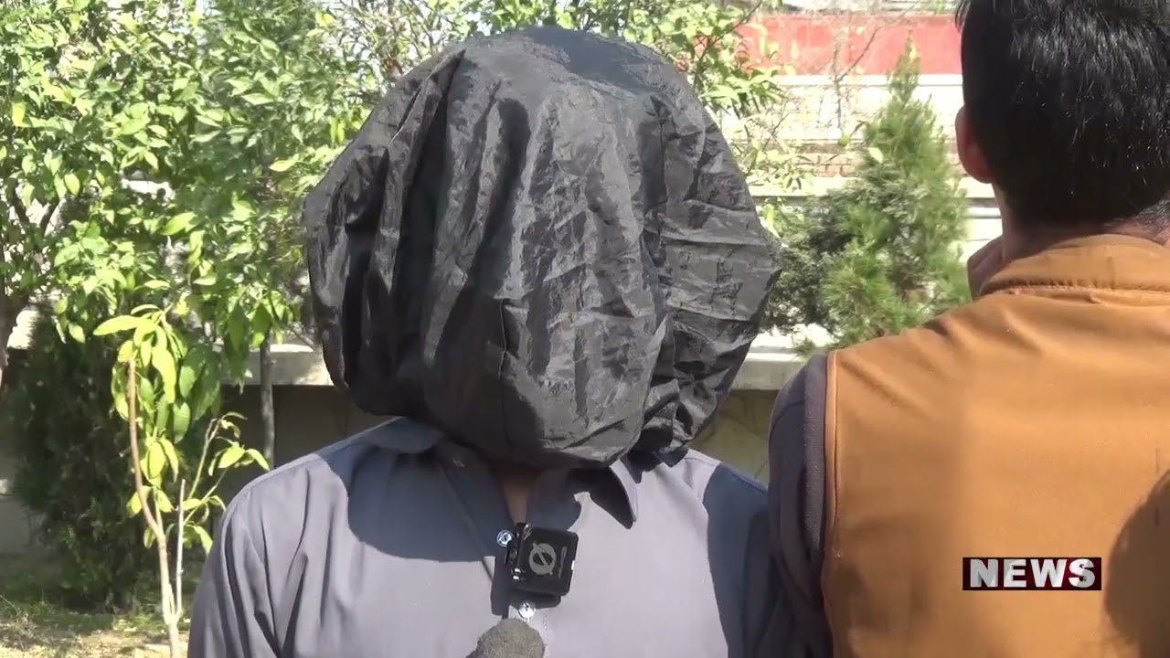 په ننګرهار ولایت کې له دوه تنو سره پنځوس زره زیکب نشي ګولۍ نیول شوي