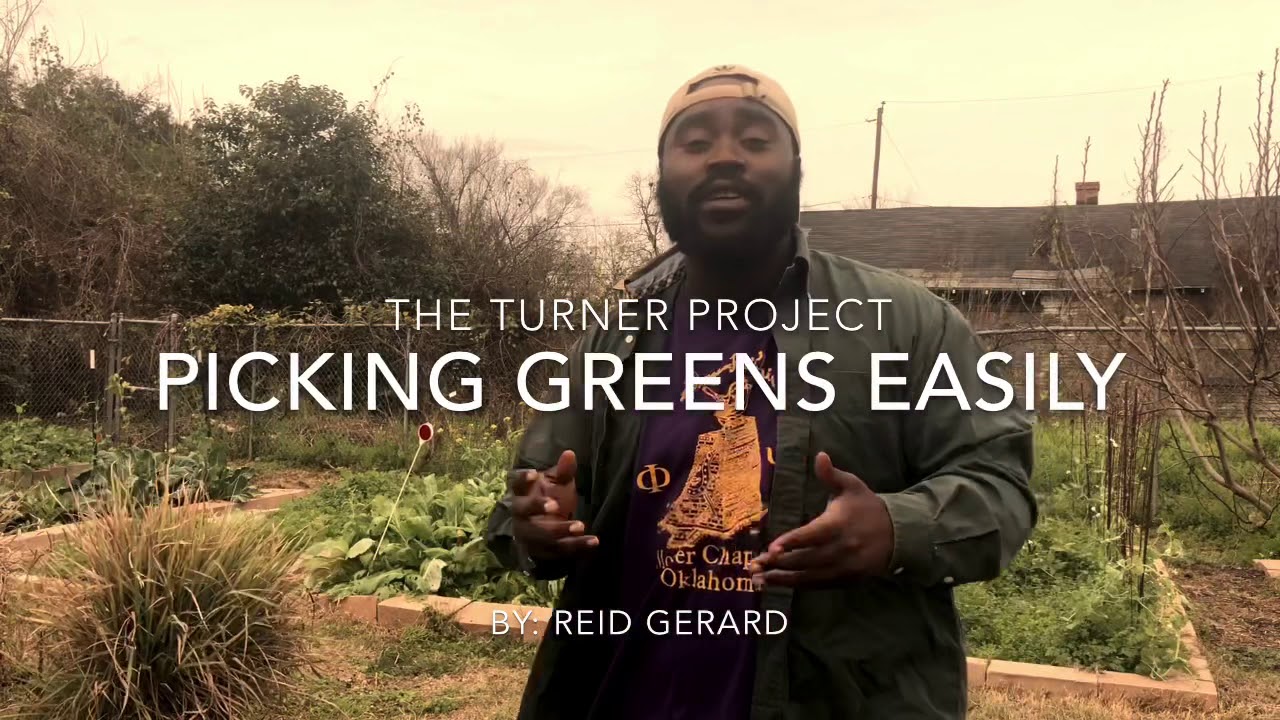 HOW TO PICK GREENS EASILY with YOUR HANDS!