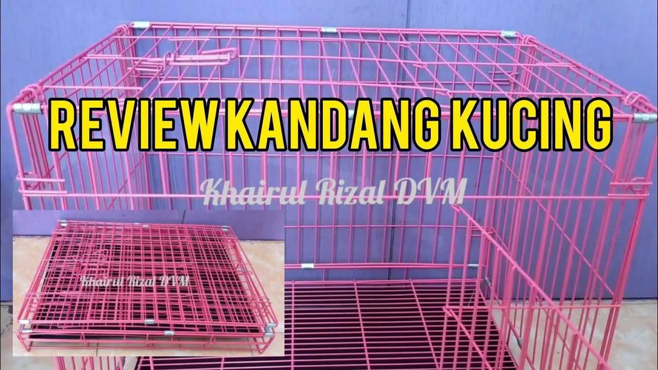 Review Kandang Kucing Harga Terjangkau