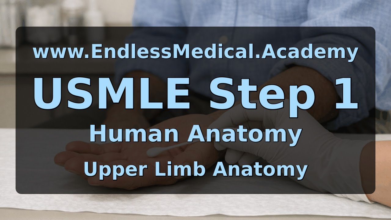 Upper Limb Anatomy, Human Anatomy, USMLE Step 1 - Full Vignette with Extended Explanations