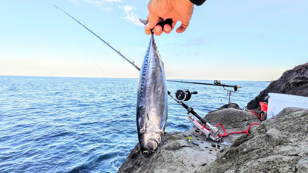 【アラ・クエ釣り】バケモノがいそうな闇の絶海磯で極太魚を丸ごとブチ込んでみると…（134）