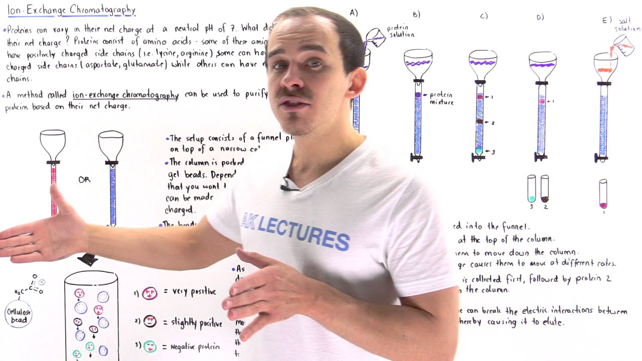 Ion Exchange Chromatography