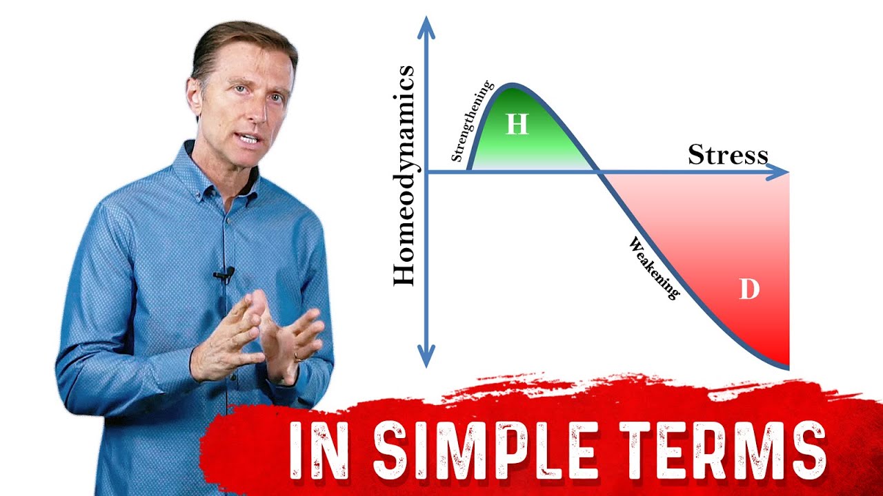 What Is Hormesis & How It Works? &ndash; Dr.Berg