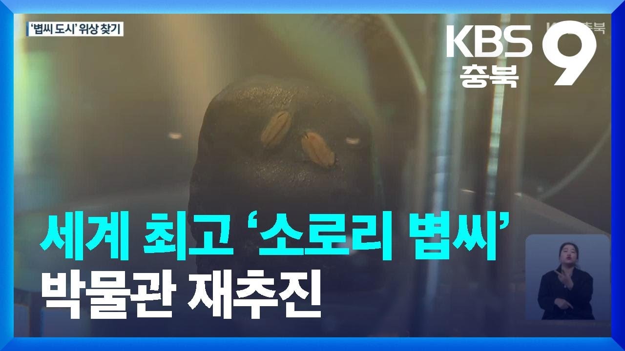 세계 최고 &lsquo;소로리 볍씨&rsquo; 박물관 재추진&hellip;&ldquo;농경 문화 역사 담는다&rdquo; / KBS  2023.06.02.