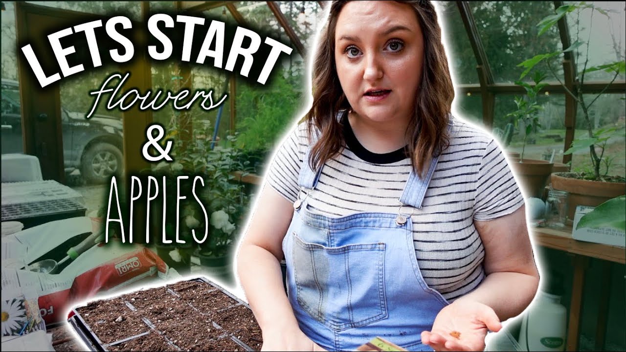STARTING FLOWERS & APPLES - LETS HANG OUT IN THE GREENHOUSE!