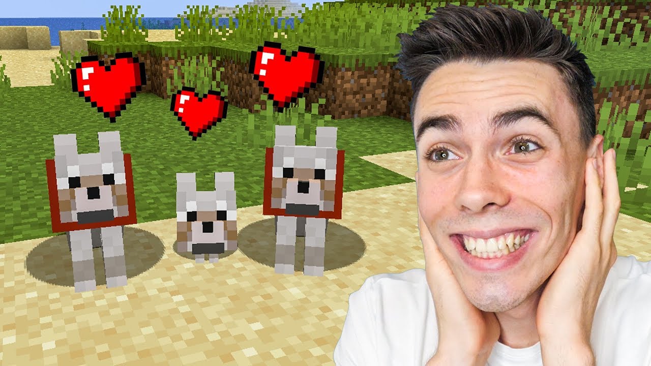 M&oacute;j PIESEK założył RODZINĘ w Minecraft!